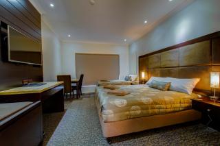 Western Downs Motor Inn - Miles - 7