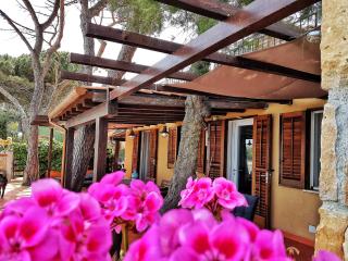 Brezza Marina Guesthouse - Cefalù - 5