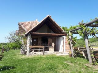 Robinson Vila Kitokret - Kutjevo - 2