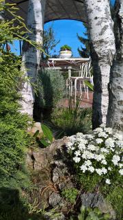 Il Girasole - 4