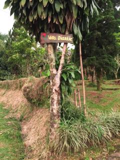 Villa Diantie - Bogor - 4