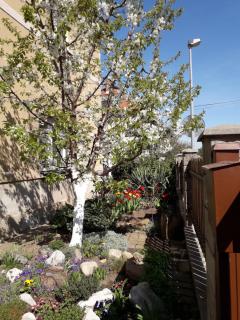 Dreamy Apartment - 3