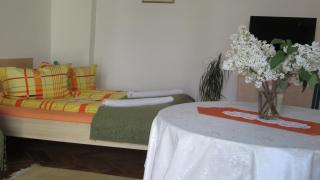 Garden City Apartment - Cluj-Napoca - 1