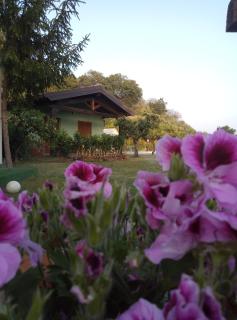 agriturismo valle alcantara - 4