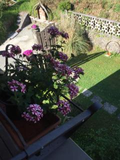 Il Ghiro B&B - 1