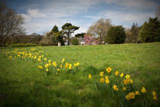 Parc-Le-Breos House - 1