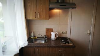 Family house - Druskininkai - 9