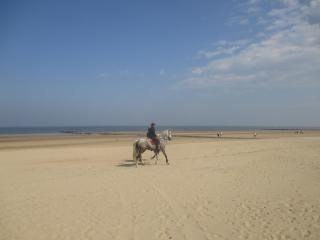 Studio On The Beach With Sea View - Middelkerke - 5