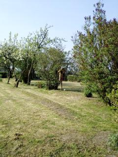 La Hulotte au Col Haut - 2