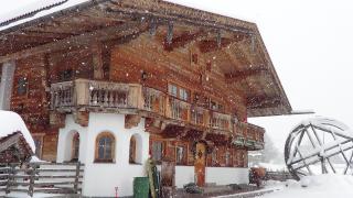 Scheffauerhof - 6