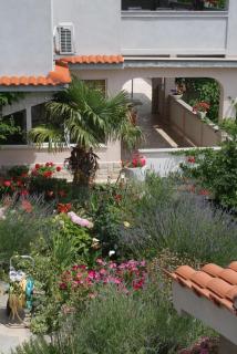 Apartment Supetarska Draga - Donja 2013c - Rab (Arbe) - 5