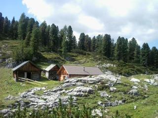 Pension Trillerhof - Ramsau am Dachstein - 4