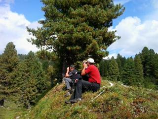 Pension Trillerhof - Ramsau am Dachstein - 5