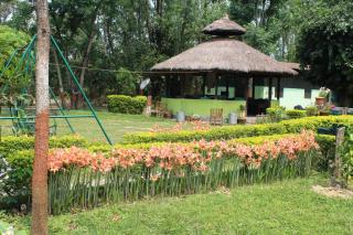 Shuklaphanta Jungle Cottage - Bahāsi - 4