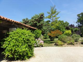 Chambres d'hôtes Les Tilleuls - Le Poiré-sur-Velluire - 3