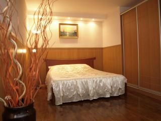 Apartment in the city center - Dnipro - 0