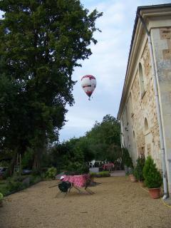 Logis de la Pichonnière - Charcé-Saint-Ellier-sur-Aubance - 4
