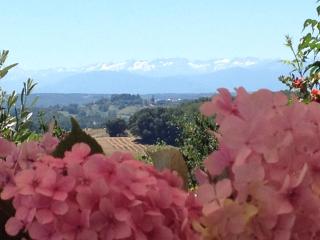 Gite Au Bouzigues - Monlaur-Bernet - 4
