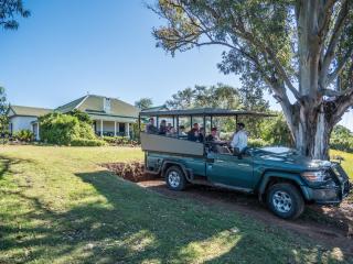 Leeuwenbosch Country House - Amakhala Game Reserve - Amakhala Game Reserve - 5