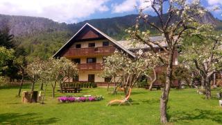 Apartments Arh - Bohinj - 5