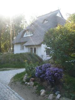 Alte Weberei Ahrenshoop - Ort der Erholung - Ahrenshoop - 8