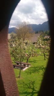 Apartments Arh - Bohinj - 3