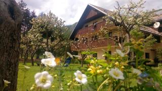 Apartments Arh - Bohinj - 2