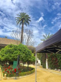 Apartamento doña María Coronel Sevilla - Sevilla - 4