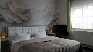 Alte Direktionsvilla Hotel Kupfermühle - 5