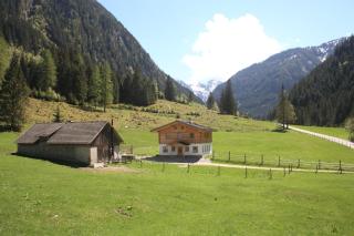Die Postlehen-Alm - Schladming - 5