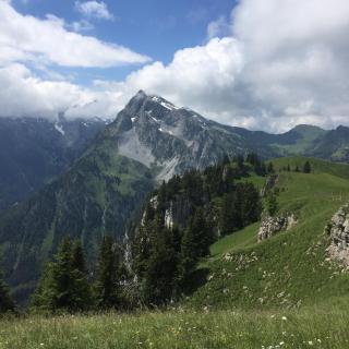 Gasthof Hirschen - 1