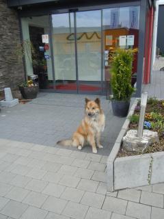 Allgäuhotel Memmingen Nord - Memmingen - 3