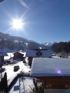 Gasthof Hirschen - Oey - 4