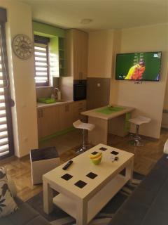 Apartman LANG & SPA - 3