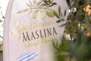 Studio Apartment Maslina - Gornji Karin - 9