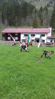 Cafe Christlessee - Oberstdorf - 9