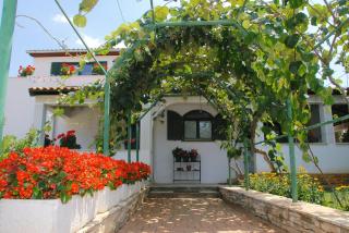 Apartmani BAUK - Poreč - 8