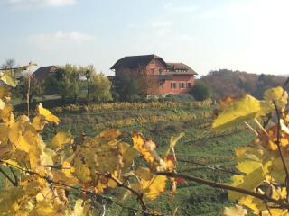 Hisa Vina - Podlehnik - 4