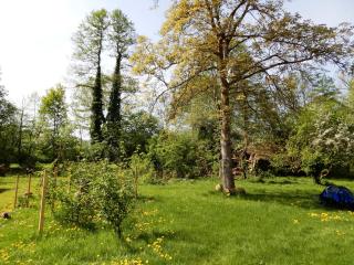 Streuobstwiese - Burg - 2