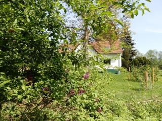 Streuobstwiese - Burg - 0