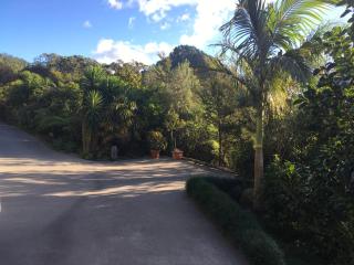 Puka Heights - Pauanui - 6
