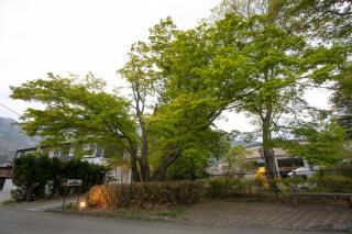 Villa Yushin - Fujikawaguchiko - 6