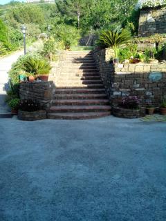 Tenuta La Panoramica - Castellabate - 3