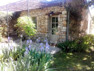 Les Olivettes le mazet - Uzès - 3