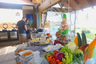 Laya Safari Resorts & Spa - Yala - 7
