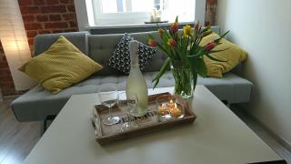 Klimatyczny apartament w magicznym miejscu - Łódź - 7