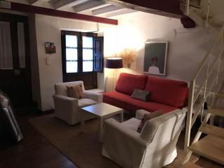 Apartamento loft la casa de las Pajaritas - Pasarón - 9