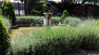 The Yardt Guest House - 0