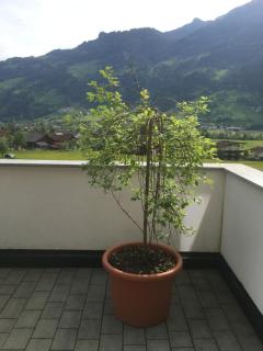 Ferienwohnung Walder - 1