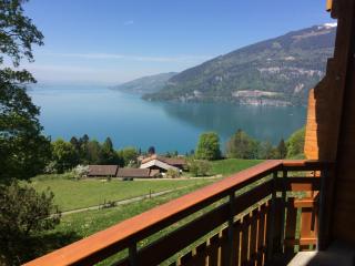 Hotel Meielisalp - Leissigen - 1